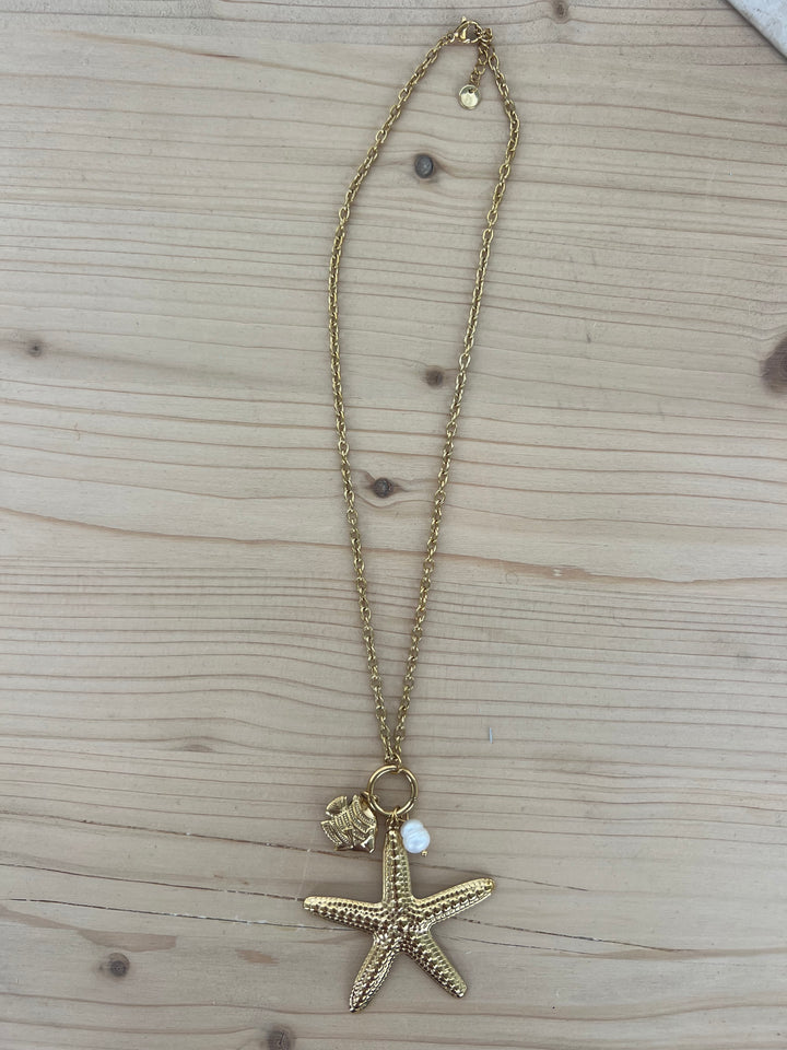 Collar Agosto (acero)