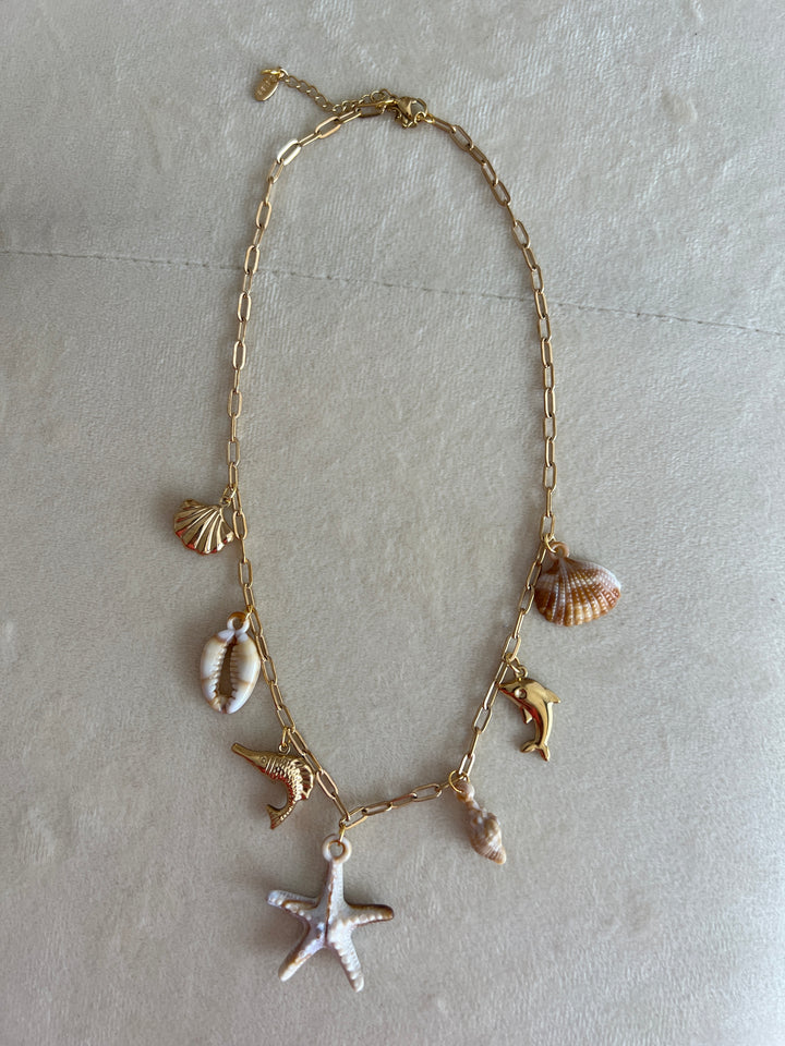 Collar Fósil (acero)