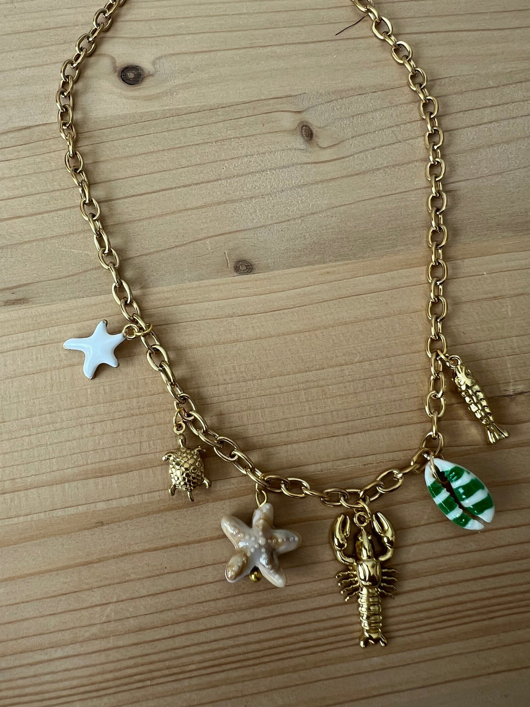 Collar Ipanema (acero)