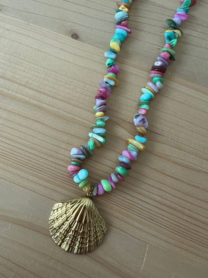 Collar Almeja (acero)