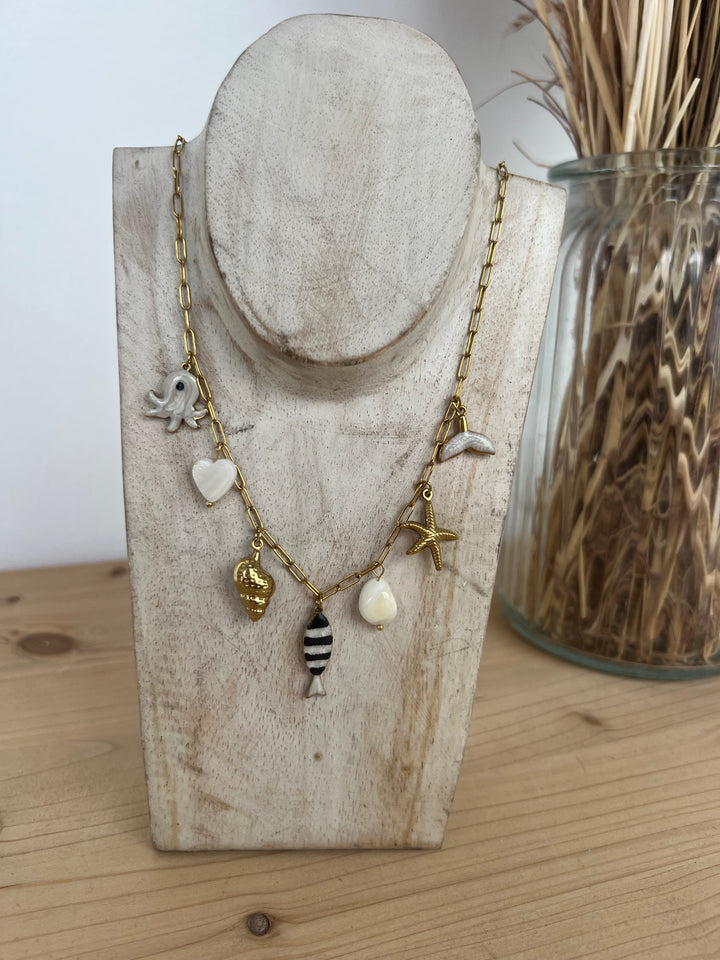 Collar Salitre (acero)