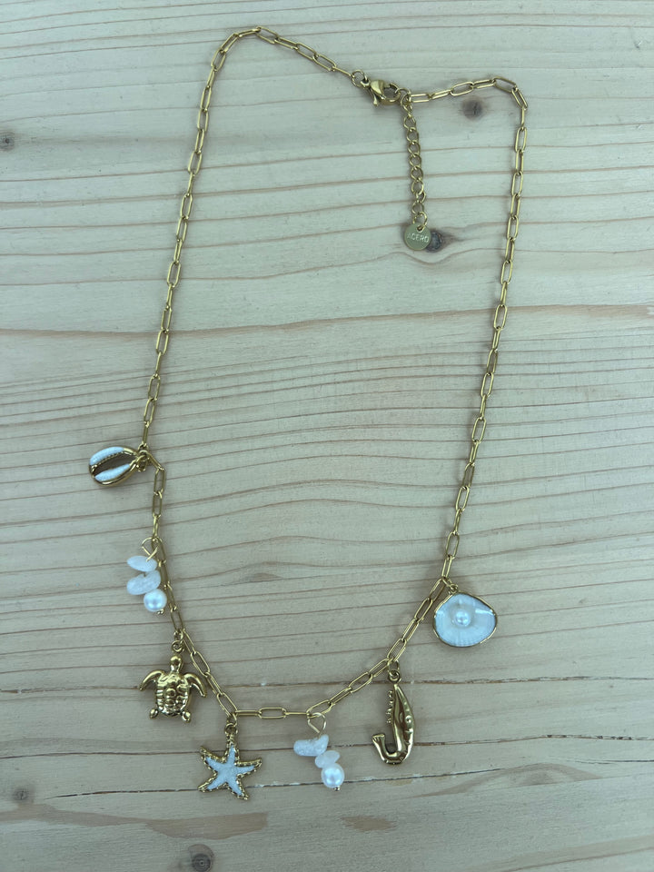 Collar Levante (acero)