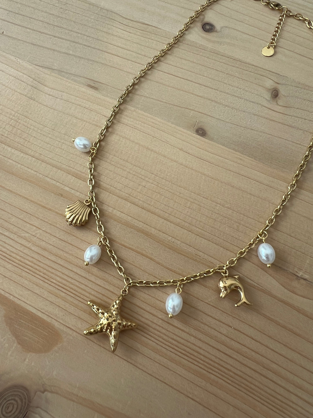 Collar Haití (acero)