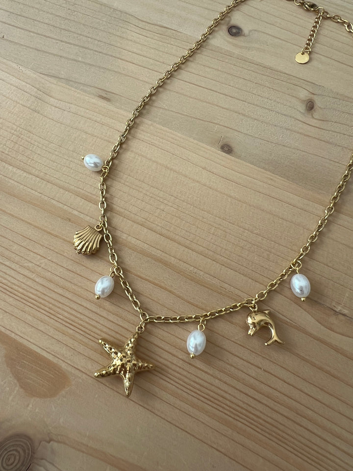 Collar Haití (acero)