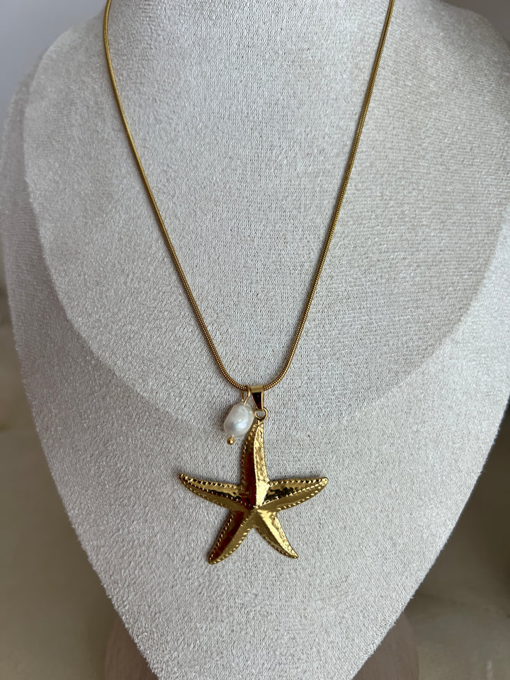 Collar Estrella de mar (acero)
