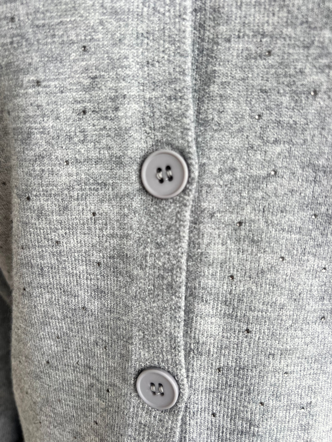 Chaqueta Claudia gris