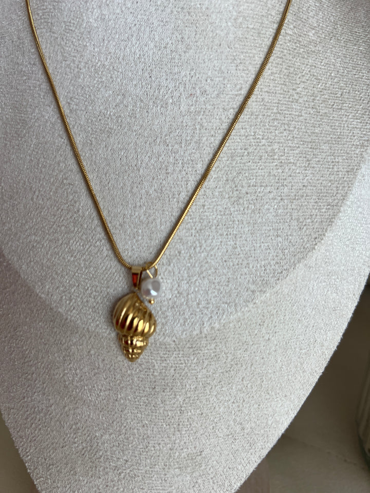 Collar Caracola (acero)