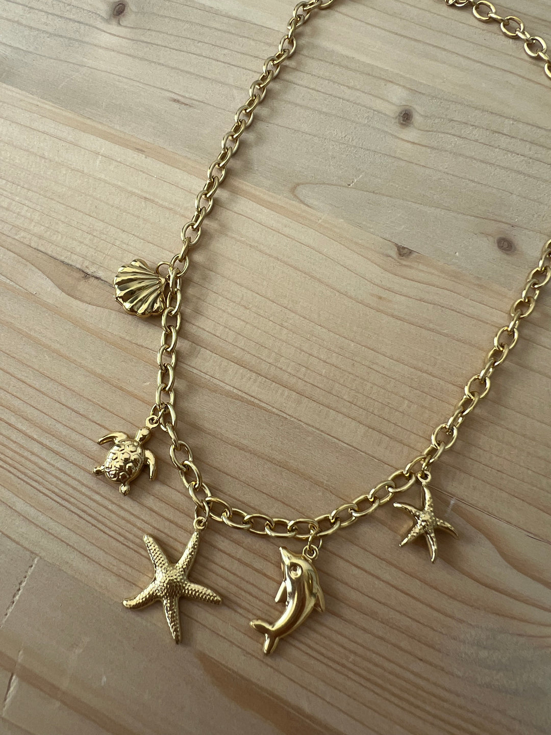 Collar Clio (acero)
