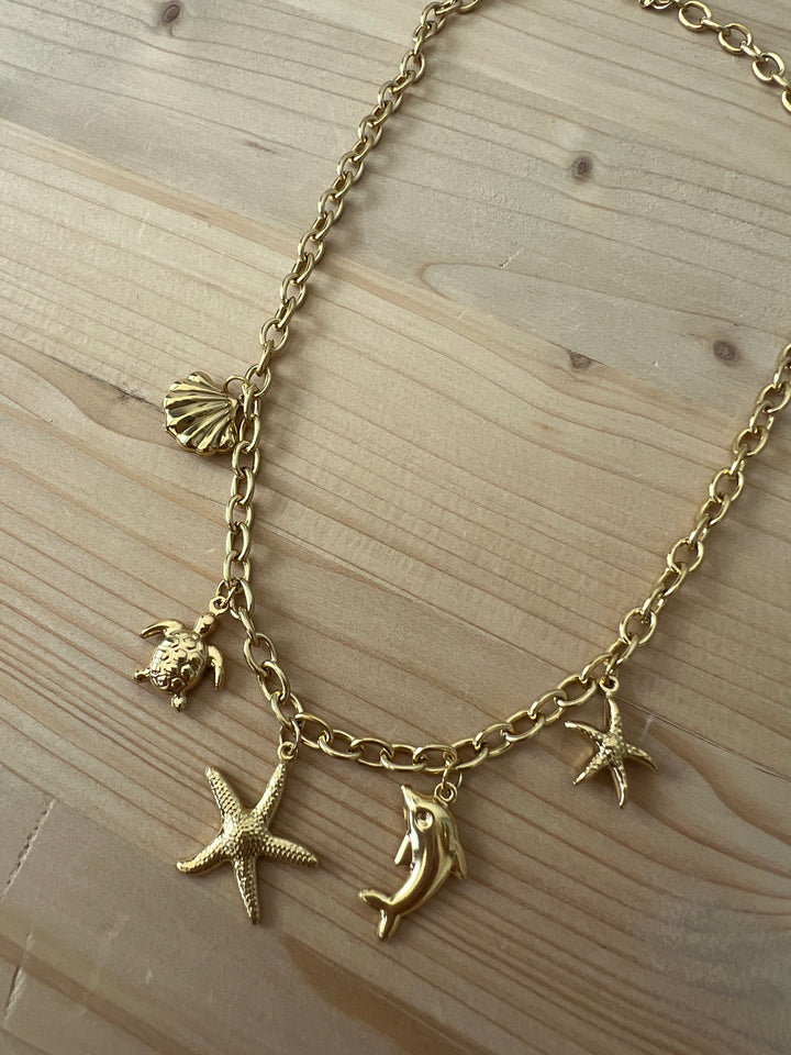 Collar Clio (acero)