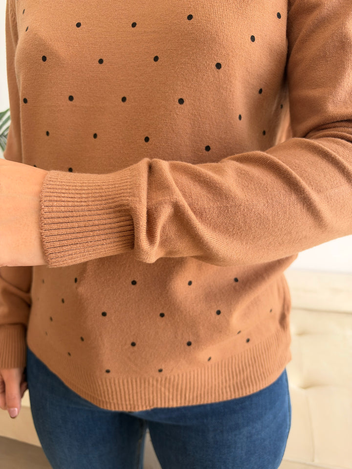 Jersey Linda camel