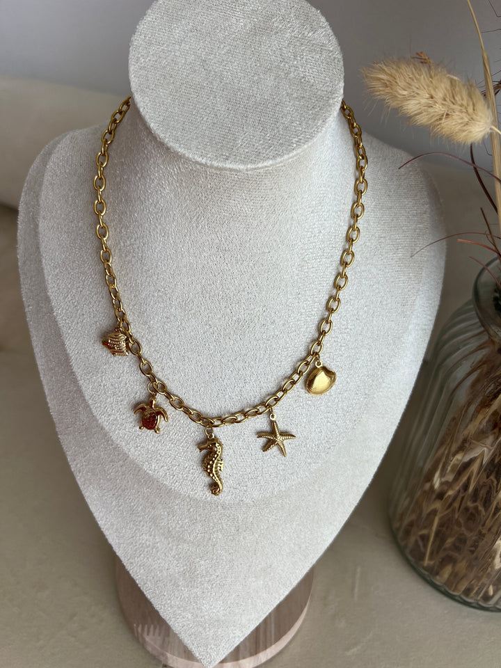 Collar Trópico (acero)