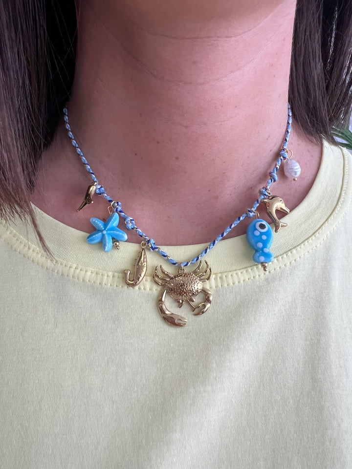 Collar cangrejo azul (acero)
