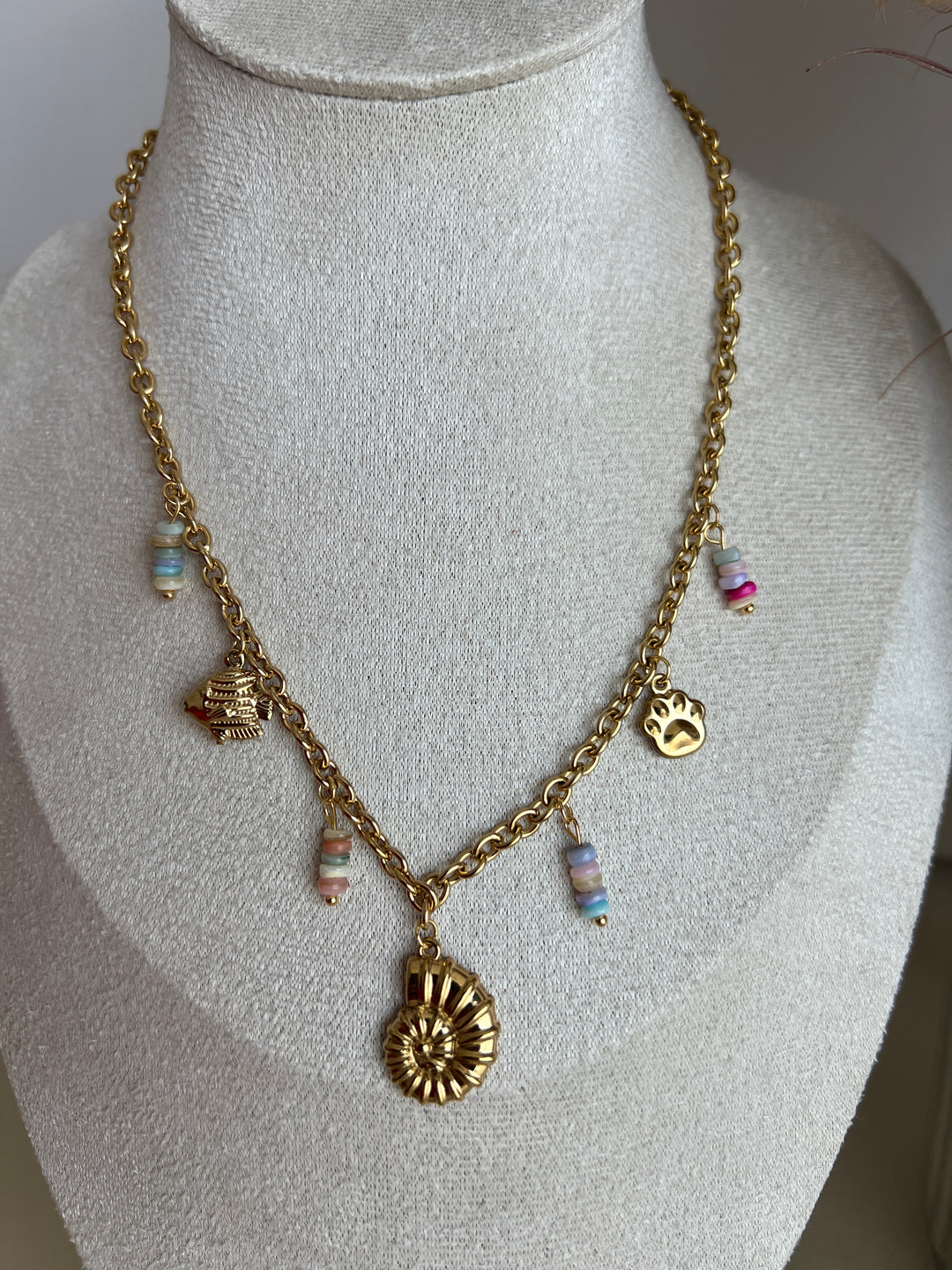 Collar Posi multicolor (acero)