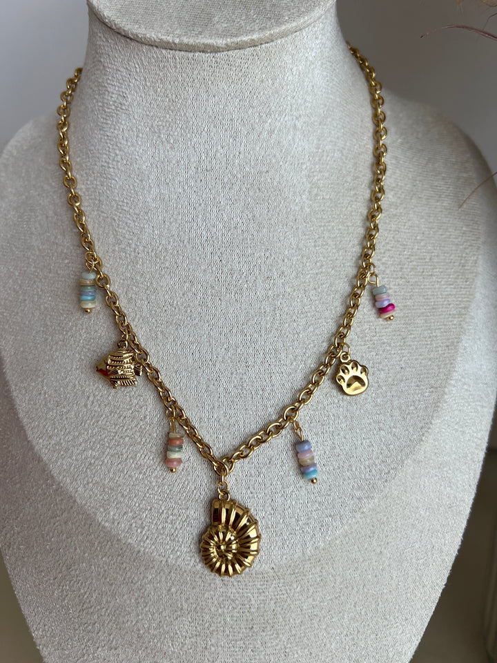 Collar Posi multicolor (acero)