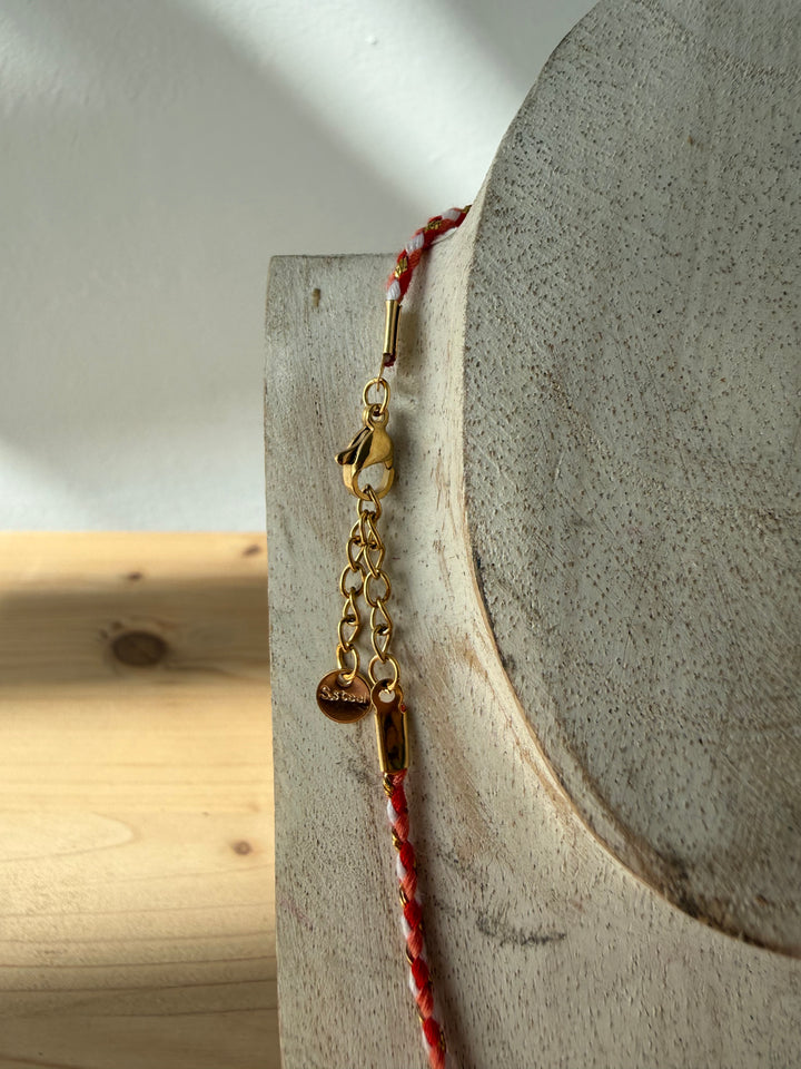 Collar cangrejo rojo (acero)