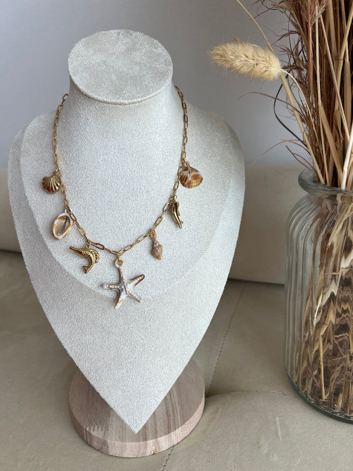 Collar Fósil (acero)