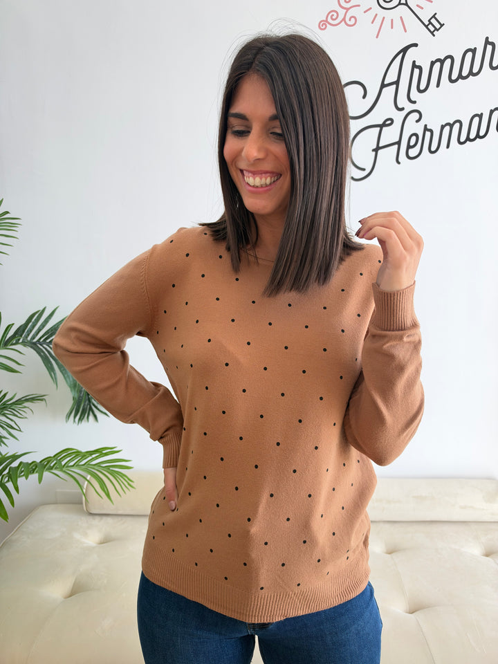 Jersey Linda camel