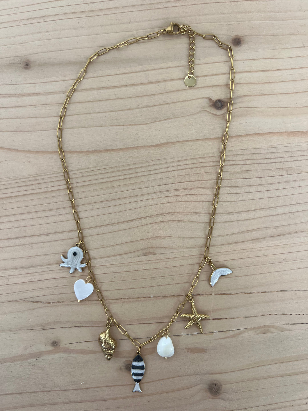 Collar Salitre (acero)