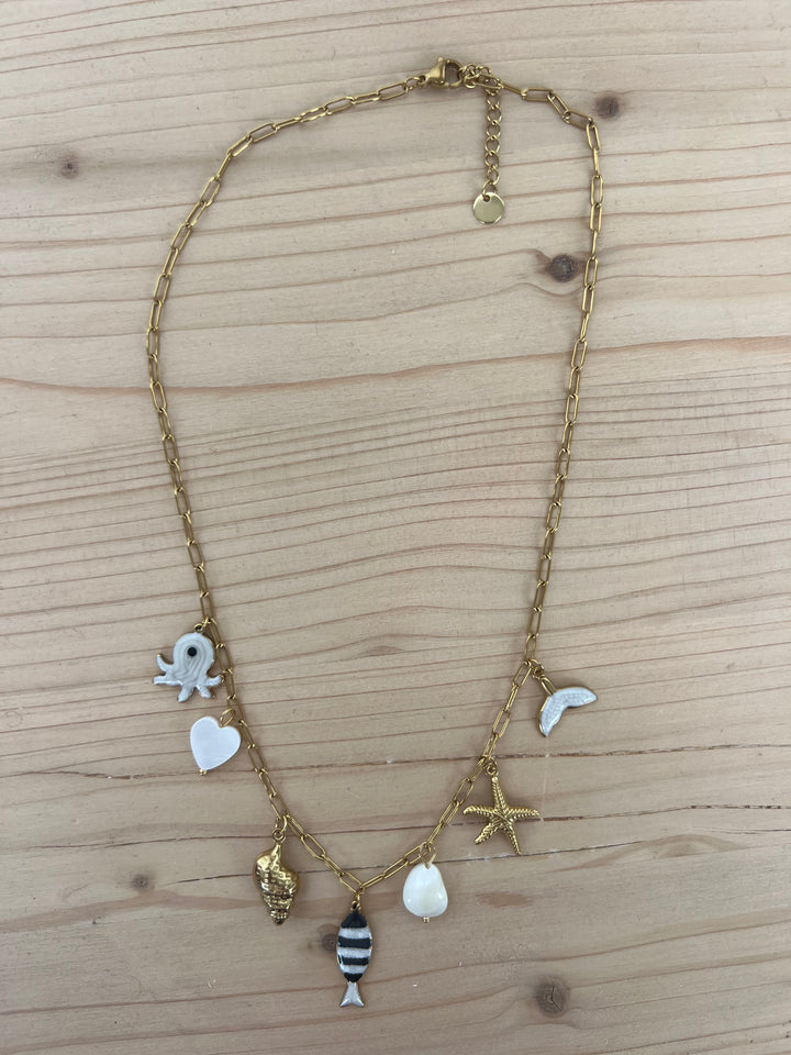 Collar Salitre (acero)