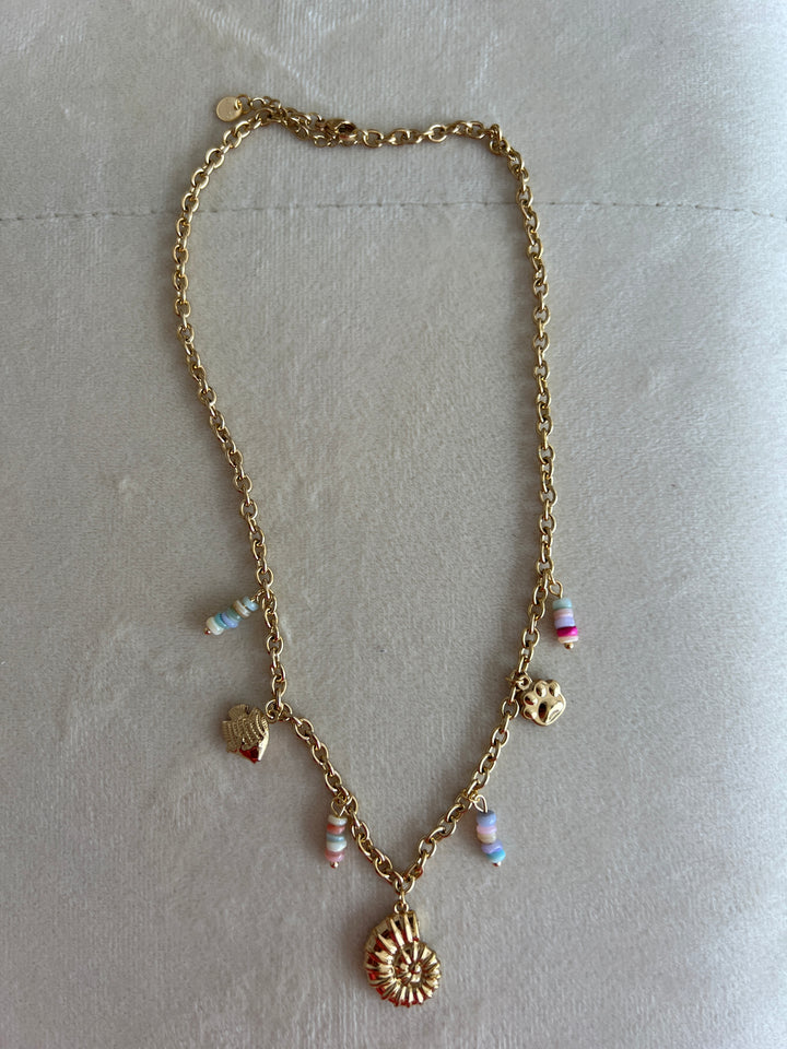Collar Posi multicolor (acero)
