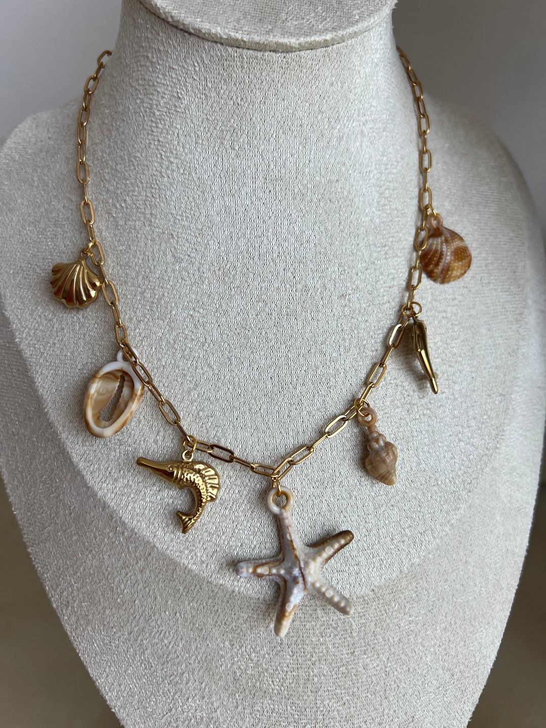 Collar Fósil (acero)