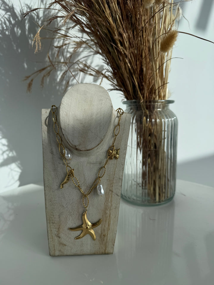 Collar Star (acero)