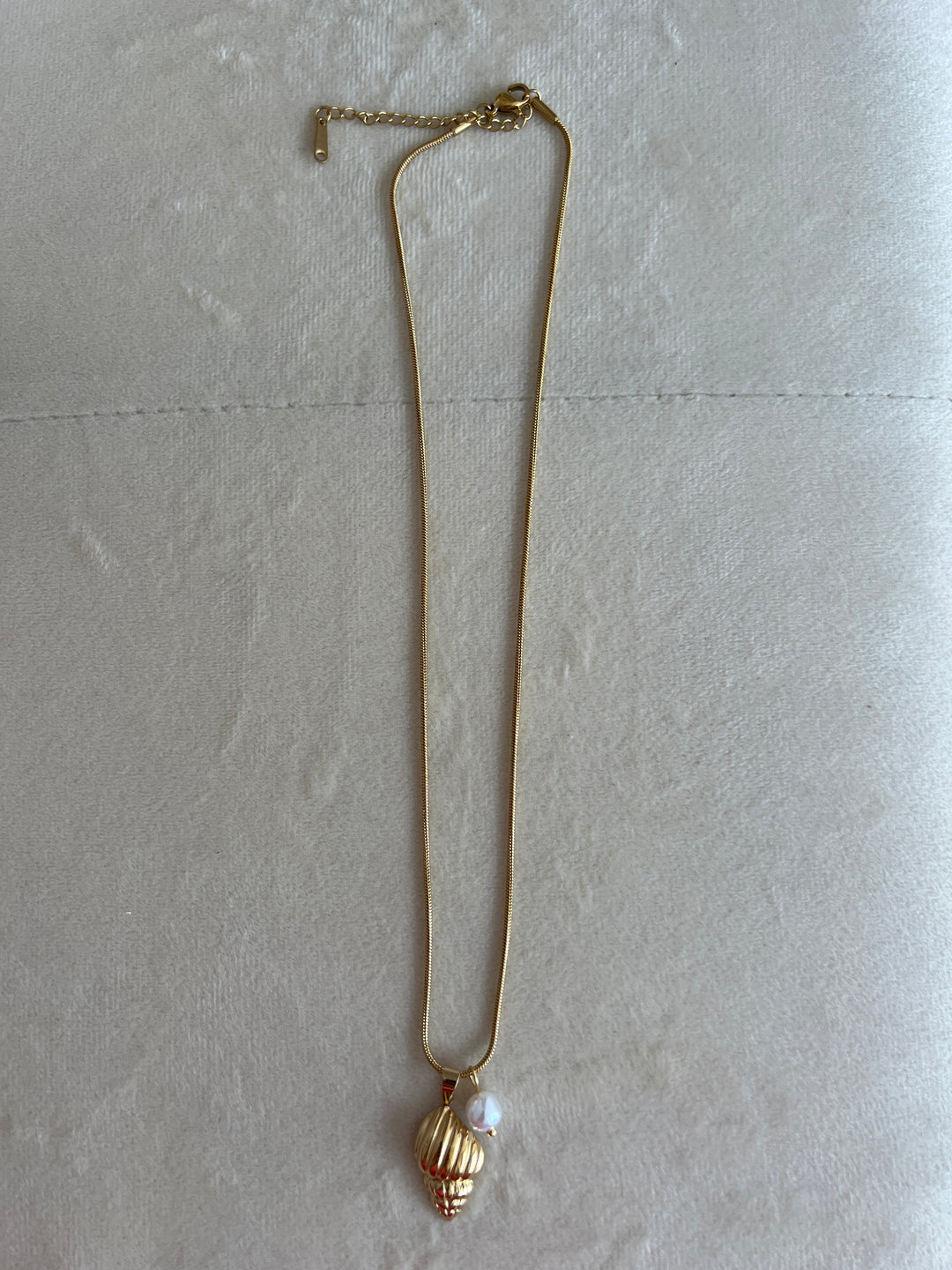 Collar Caracola (acero)