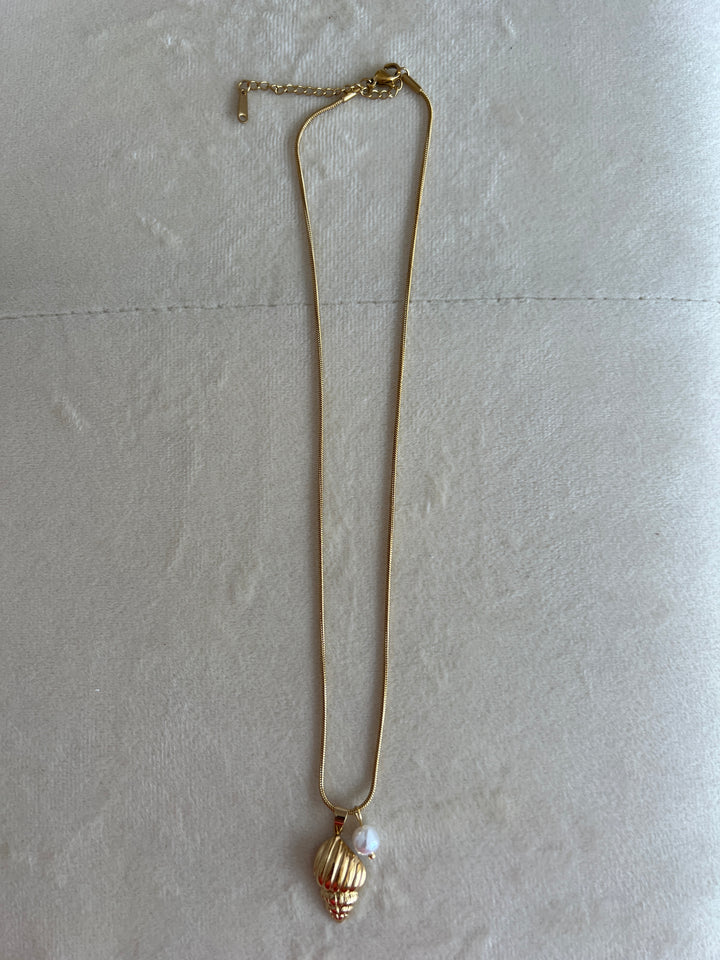 Collar Caracola (acero)