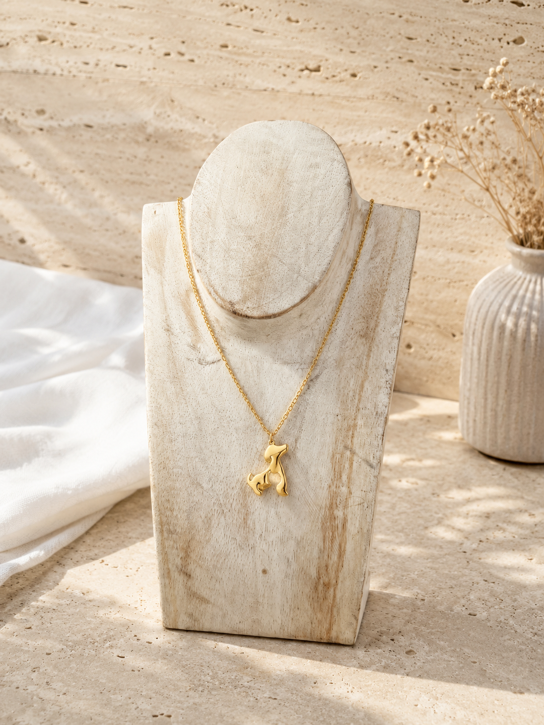 Collar Pet (acero)