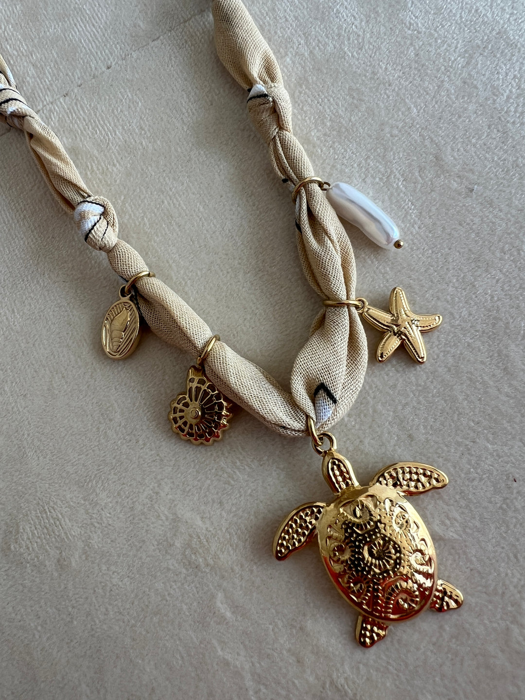 Collar Frontera (acero)