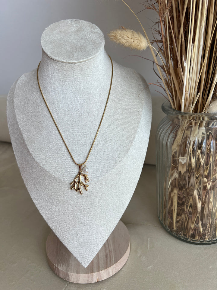 Collar Coral (acero)