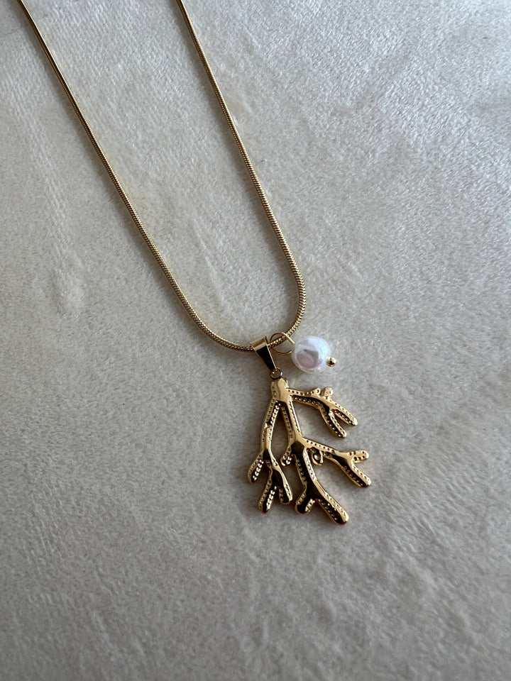 Collar Coral (acero)