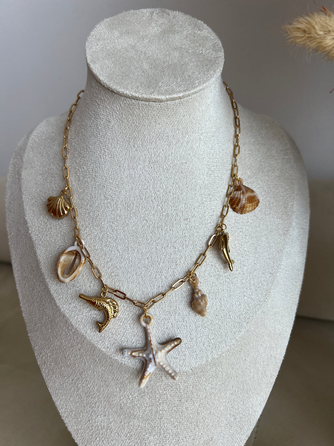 Collar Fósil (acero)