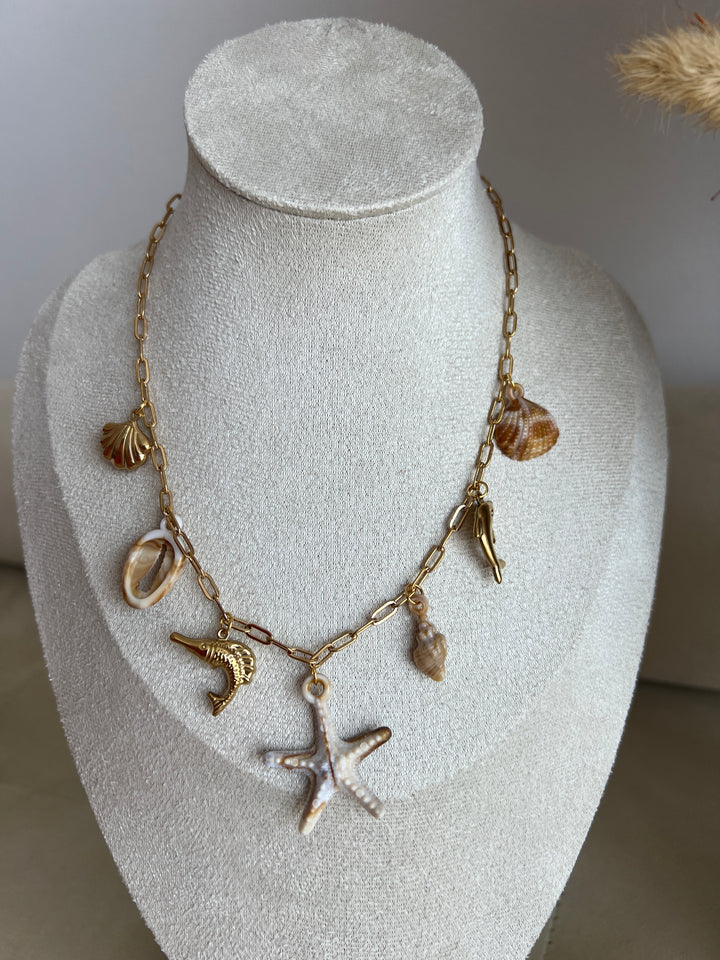 Collar Fósil (acero)