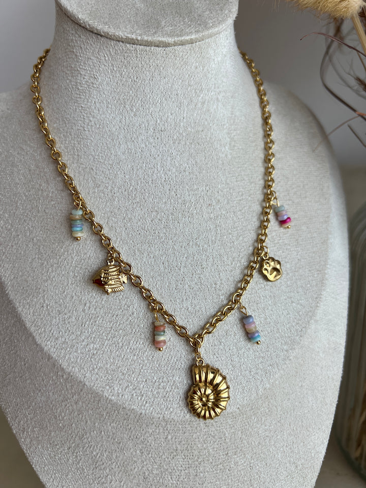 Collar Posi multicolor (acero)