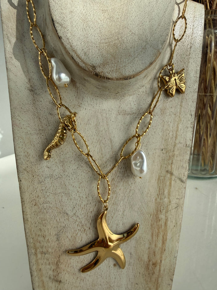 Collar Star (acero)