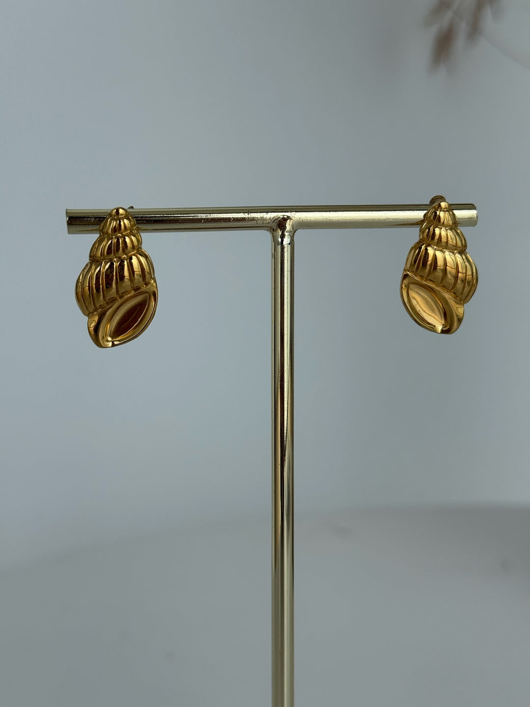 Pendientes Concha (acero)