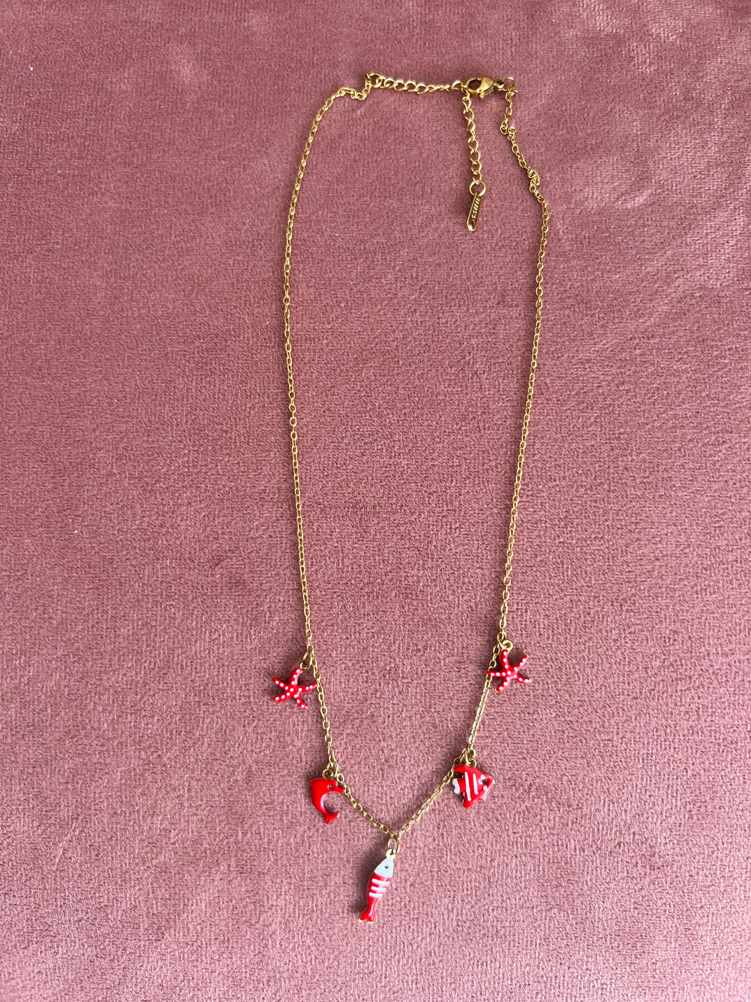 Collar Mar Rojo (acero)