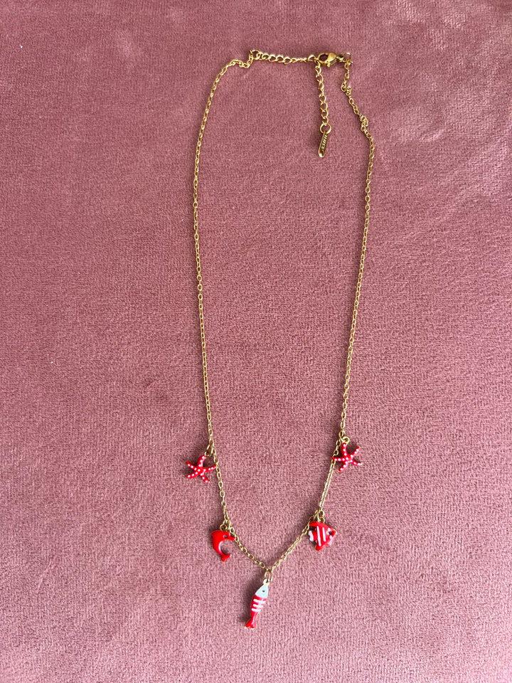 Collar Mar Rojo (acero)