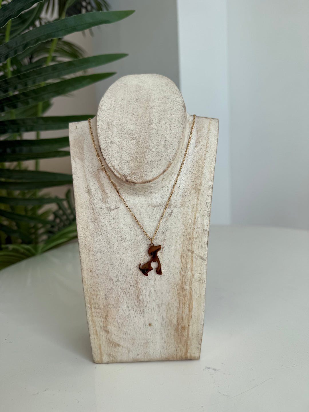 Collar Pet (acero)