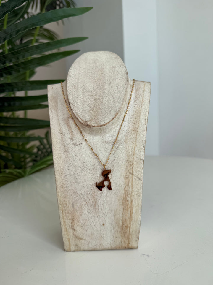 Collar Pet (acero)