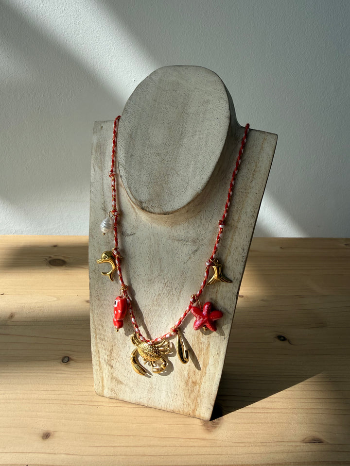 Collar cangrejo rojo (acero)