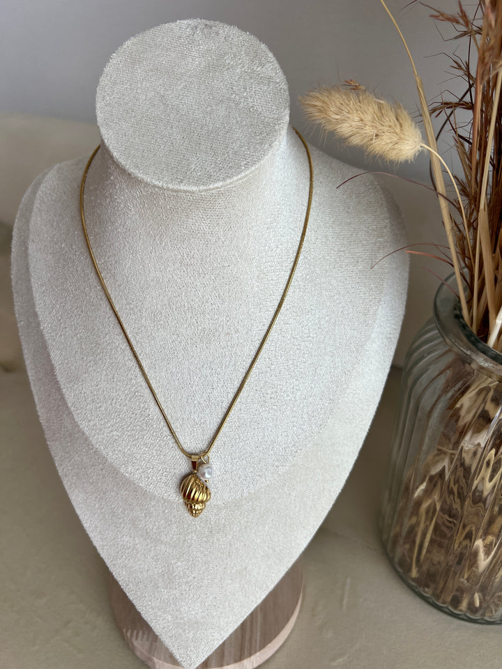 Collar Caracola (acero)