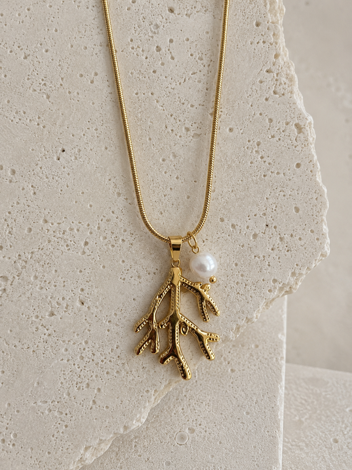 Collar Coral (acero)