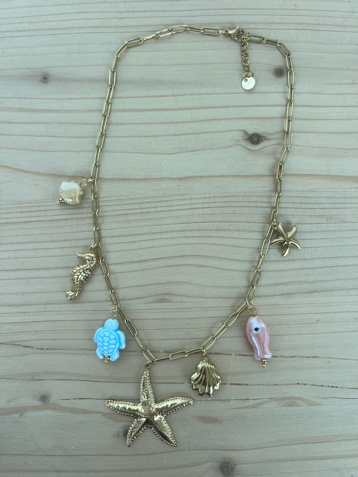 Collar Bolonia (acero)