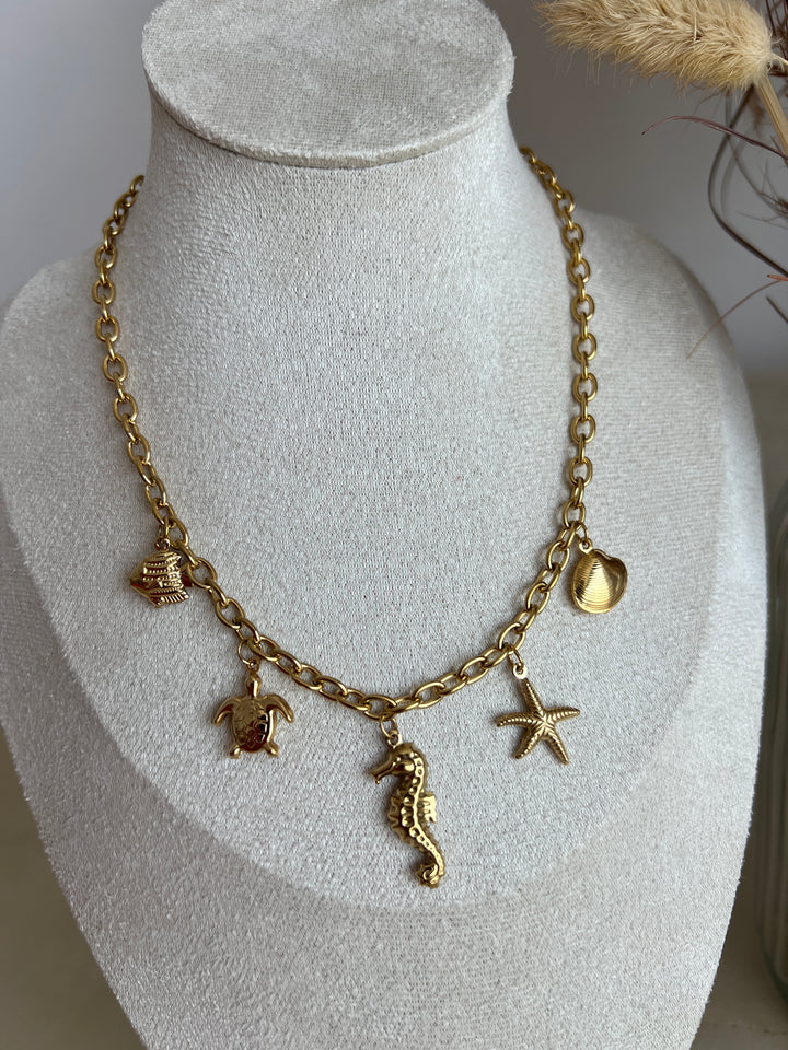Collar Trópico (acero)
