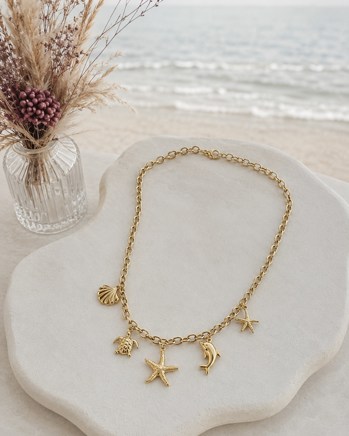 Collar Clio (acero)