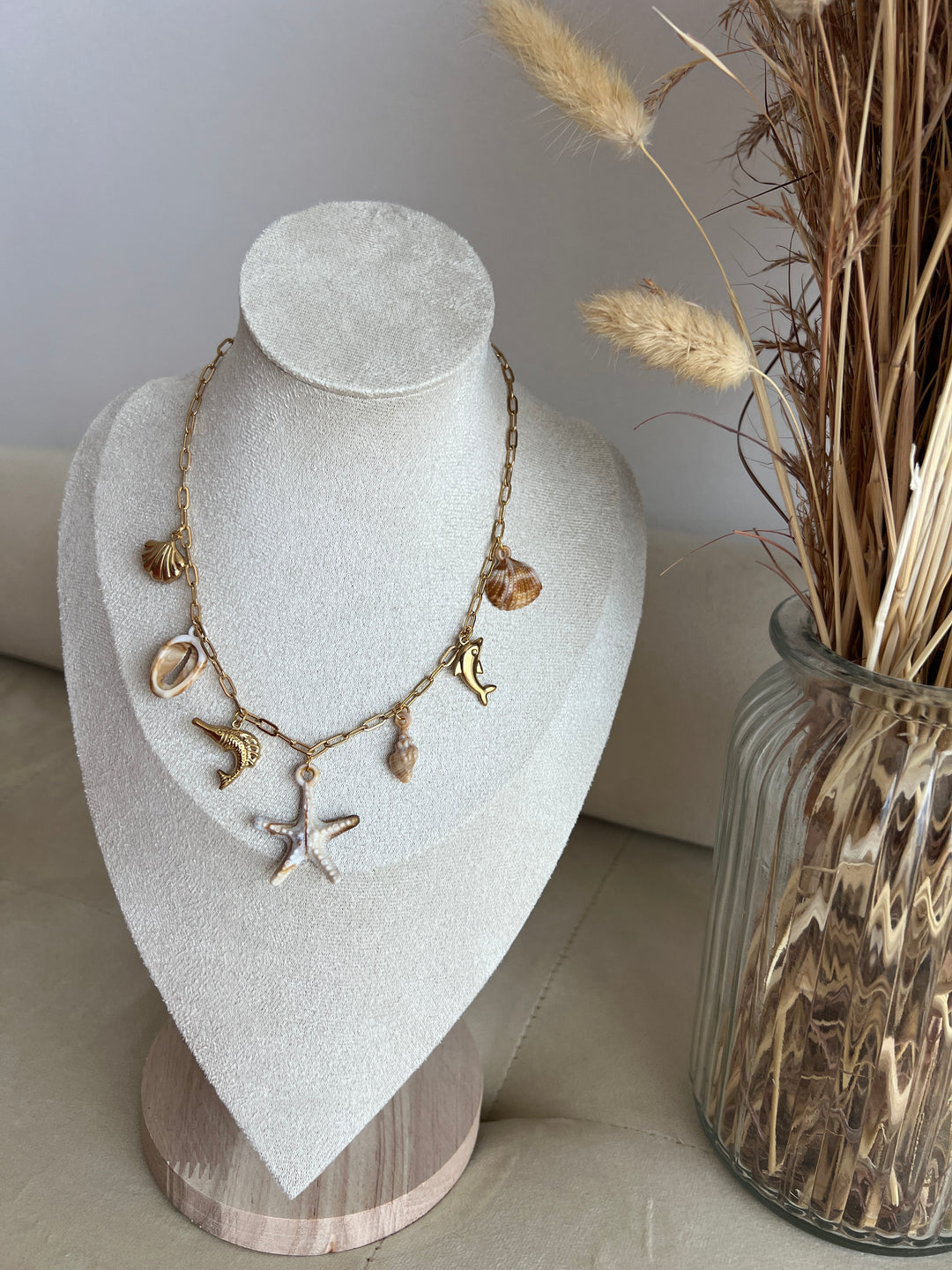 Collar Fósil (acero)