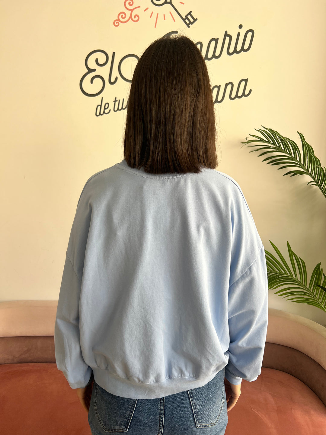 Sudadera Águila celeste