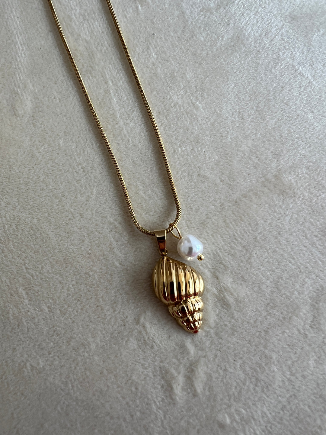 Collar Caracola (acero)